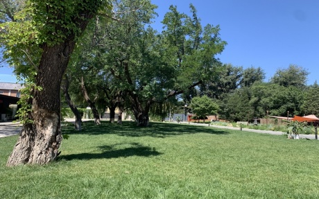 中央⼴场草坪 [ 最大12桌 · 高0.0m · 无柱 · 低消3999 ]